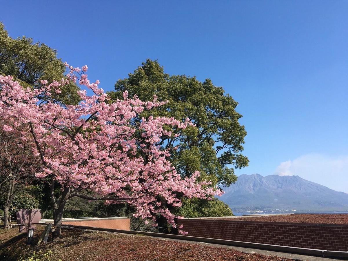 Shiroyama Hotel Kagoshima Eksteriør bilde